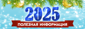 Новый год-2025