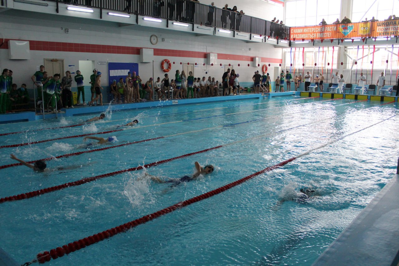 Соревнования по плаванию «Кубок ФОК» идут в Белогорске