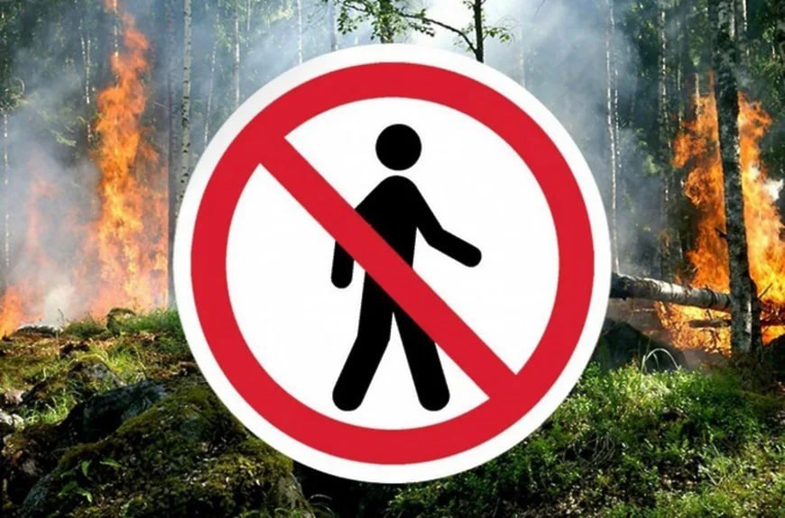За разведение огня жителей Белогорска будут штрафовать 
